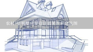 农村3层别墅房屋设计效果图和建筑图